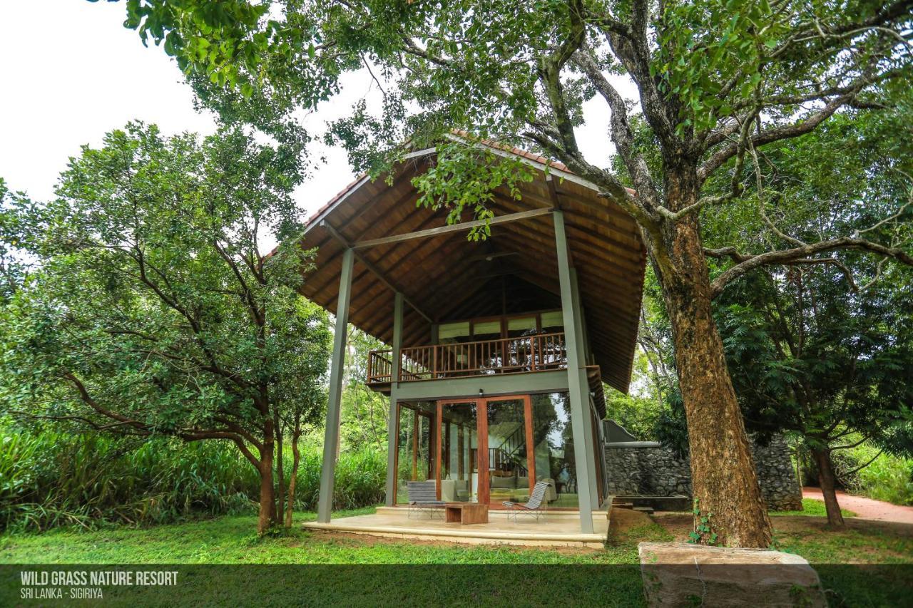 Wild Grass Nature Resort Sigiriya Dış mekan fotoğraf