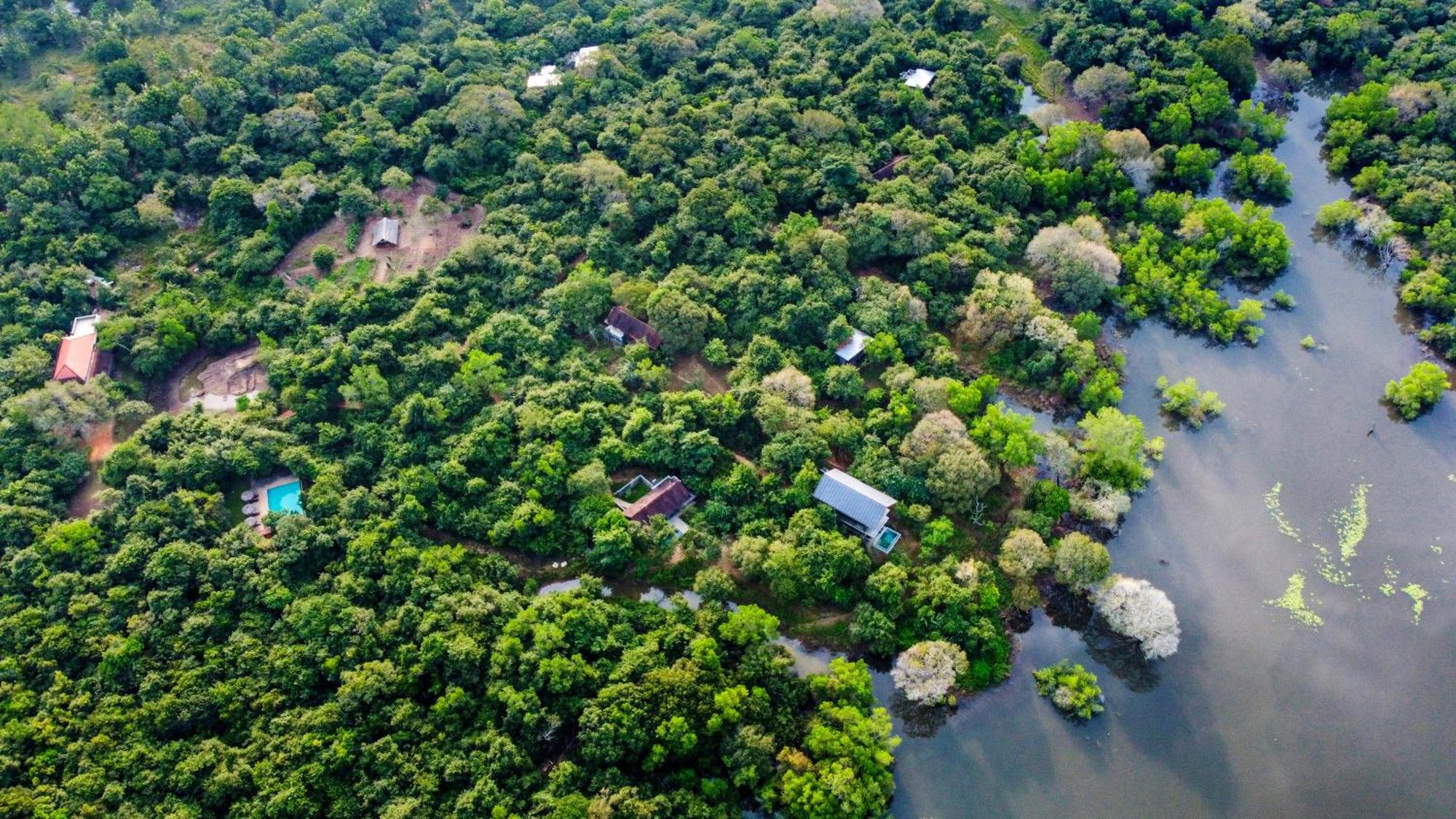 Wild Grass Nature Resort Sigiriya Dış mekan fotoğraf