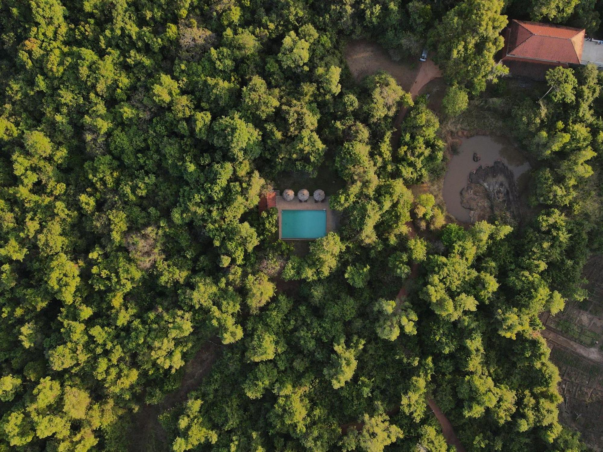 Wild Grass Nature Resort Sigiriya Dış mekan fotoğraf